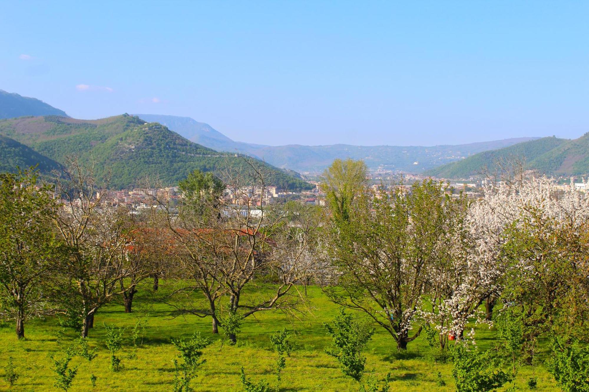 ميركاتو سان سيفيرينو Caledonia B&B المظهر الخارجي الصورة