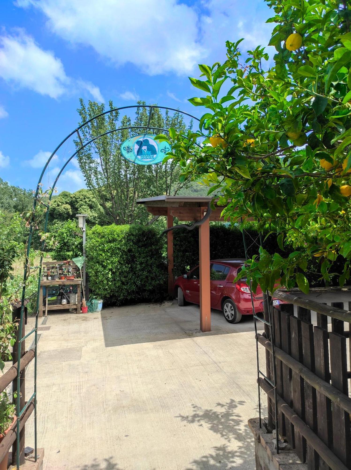 ميركاتو سان سيفيرينو Caledonia B&B المظهر الخارجي الصورة