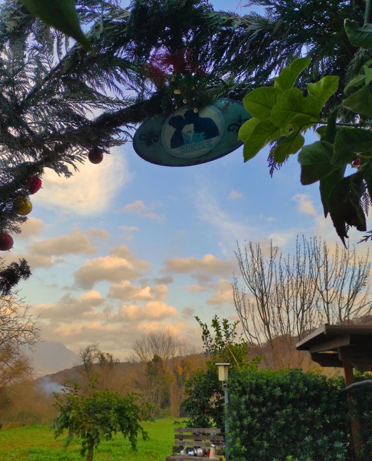 ميركاتو سان سيفيرينو Caledonia B&B المظهر الخارجي الصورة